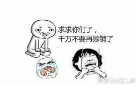 硚口贷款清欠服务